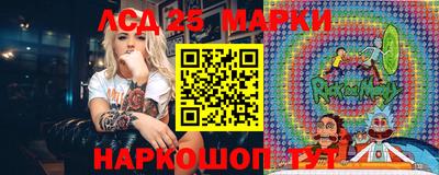 Альфа ПВП Новодвинск