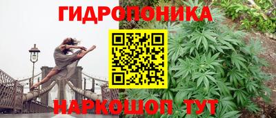 винт Новокубанск