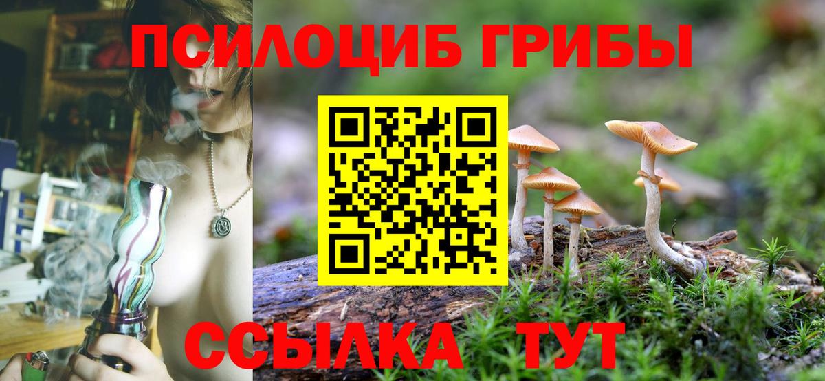 где купить   Галлюциногенные грибы MAGIC MUSHROOMS  Вход с VPN  Первоуральск 