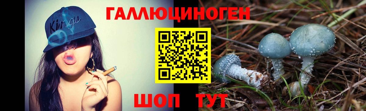 Галлюциногенные грибы MAGIC MUSHROOMS Первоуральск